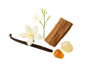 Scent Notes