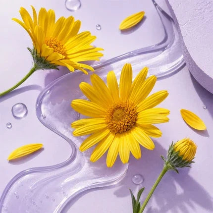 Arnica